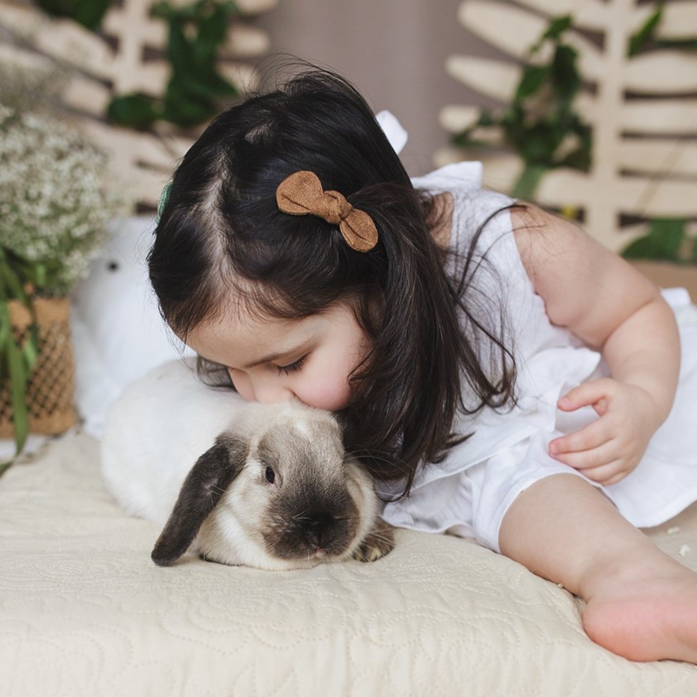 petal linen brown 2 (1)